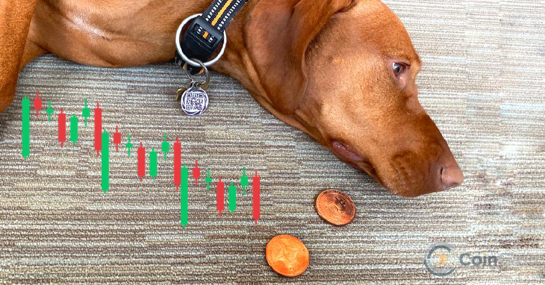 kutya_es_a_Bitcoin_meg_az_ethereum_coin